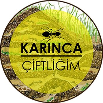 Karınca Çiftliğim