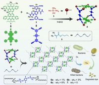 Metallacage-crosslinked free-standing supramolecular networks via photo-induced copolymerization for photocatalytic water decontamination - Nature Communications