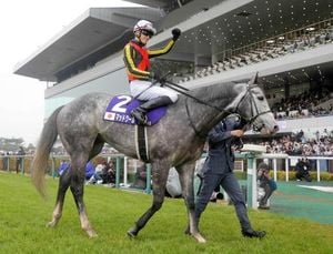 Takamatsunomiya Kinen: Mad Cool Aims For Consecutive Win