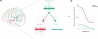 Identifying the epileptic network by linking interictal functional and structural connectivity - Scientific Reports