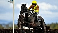 Cheltenham Gold Cup runners 2026: which horses are entered for this year’s race?