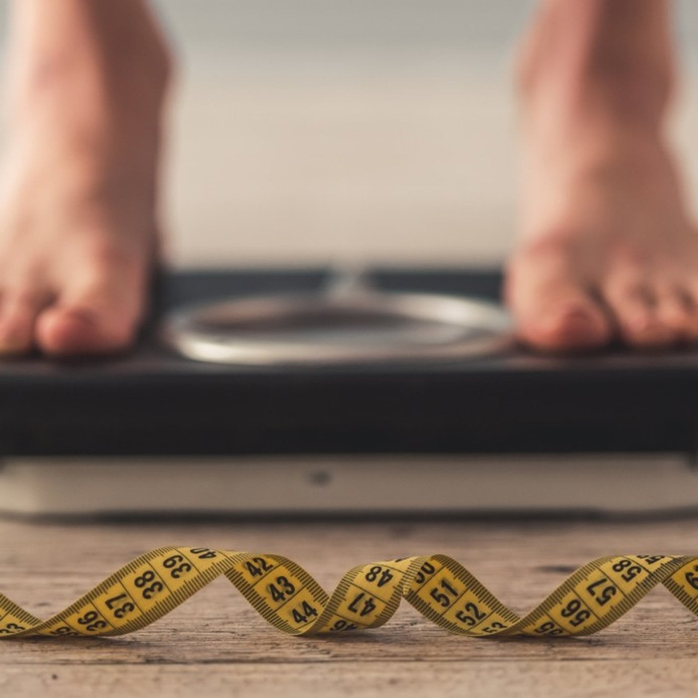 Evrim Ağacı ile Bilime Dair Her Şey!