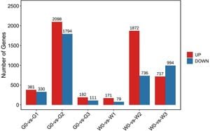 New Reference Genes For RT-qPCR Analysis Of Alfalfa Under Stress