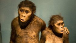 Afrika'dan Çıkış Kuramı ve Çok Bölgelilik Kuramı: İkisi De Doğru Olabilir Mi?