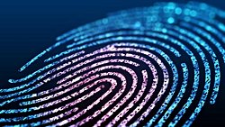 Sosyal Medyada Paylaşılan Fotoğraflardan Parmak İzi Tespiti Mümkün!