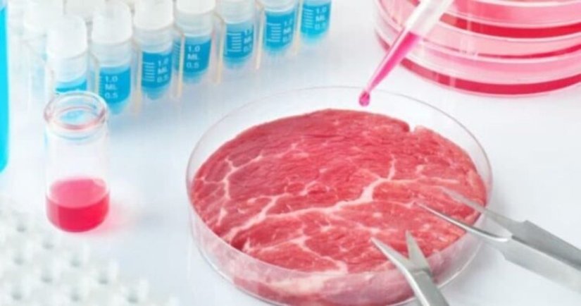 Yapay et, doğal etin yerine kullanılan bir üründür ve soy, tavuk gibi bitkisel proteinlerden veya sentetik maddelerden yapılabilir. Bu ürünler genellikle daha ucuz, daha uzun süre dayanabilir ve daha az hayvansal ürün kullanımına dayanır. Ancak, doğal et kadar lezzetli olmayabileceği ve belirli sağlık sorunlarına neden olabileceği de belirtilmelidir.    Laboratuvar ortamında üretilen yapay et, yabancı kaynaklarda hücre kökenli et olarak da bilinir. Bu yapay et üretim süreci, steril ortamda hayvan hücresinden çoğaltılarak gerçekleştiriliyor. Günümüzde tükenen kaynaklar neticesinde yapay üretime yönelen bilim insanları, gelecek neslin tehlikede olmasını istemediği için bir çözüm üretti. Et üretimi yapılacak hayvanlardan alınan kök hücreleri, laboratuvar ortamında kimi malzemelerle buluşturularak sonuç elde ediliyor.    Keçi, sığır, tavuk, dana eti gibi besinlerin üretilmesi için hayvandan alınan kök hücreye aminoasit, vitamin, mineraller ve glikozdan oluşan bir çözelti ekleniyor. Daha sonra bu çözeltiye uygulanan işlemler sonucunda ortaya kas hücreleri çıkıyor ve yapay et bu şekilde üretilmiş oluyor.