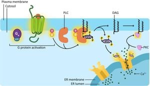 Cells Use Amplitude And Frequency Encoding To Process Signals