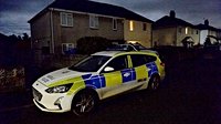 Nine-month-old baby dies after dog attack at home in Wales