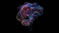 Duygusal İzler: Beynimizde Derinlemesine Kazınan Anılar