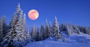 February 2025 Snow Moon Illuminates The Night Sky