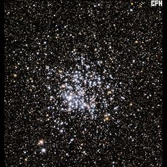 M11: The Wild Duck Cluster