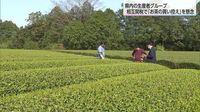 ３割がアメリカ向け　お茶を生産する業者「消費の落ち込み心配」