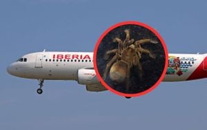 Pilot Bitten By Tarantula Mid-Flight, Panic Ensues