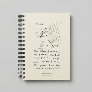 Darwin Yaşam Ağacı A5 Defter - 120gr 80 Yaprak Ivory (Fil Dişi)