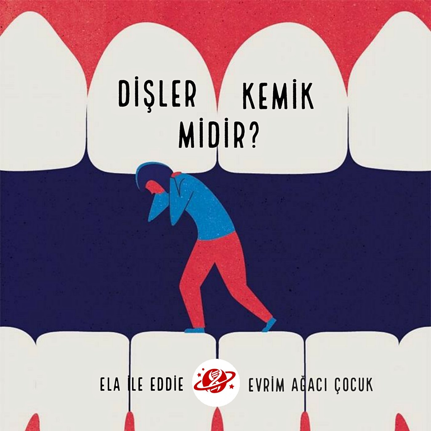 Dişler Kemik Midir Öğrenelim!