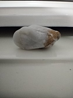 Görseldekinin ne taşı olduğunu açıklayabilir misiniz?