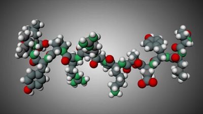 Peptit-RNA Dünyası Hipotezi: Son Evrensel Ortak Atamızda Peptitler ve RNA Bir Arada Çalışıyordu!