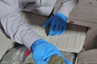 Ekspor perdana kratom ke India penuhi persyaratan - ANTARA Jateng