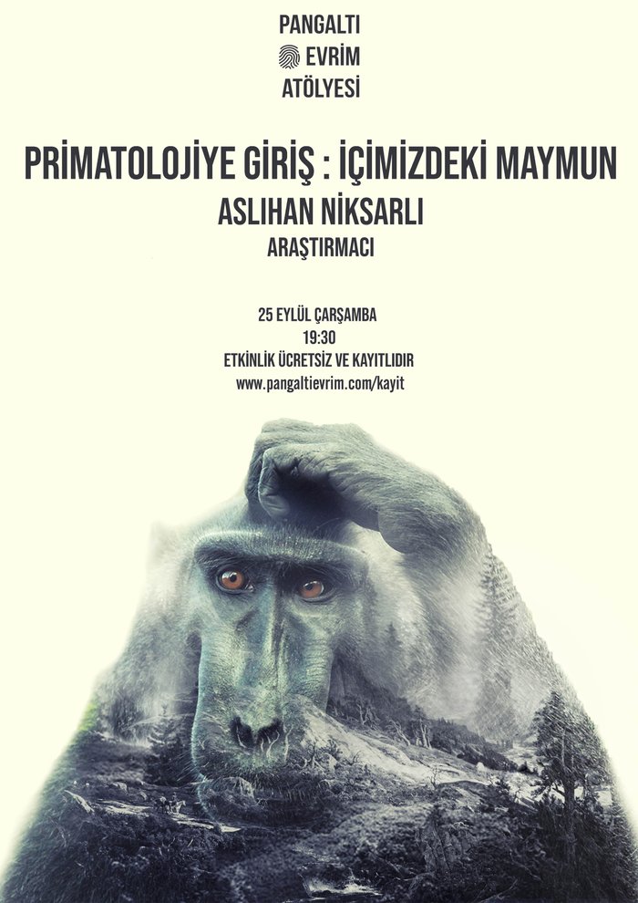 Primatolojiye Giriş : İçimizdeki Maymun