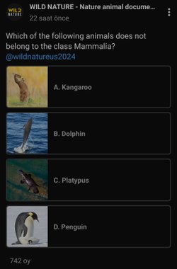 Aşağıda sıralanmış hayvanlardan hangisi memeliler sınıfına ait değildir?