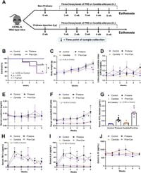 Intratracheal Candida administration induced lung dysbiosis, activated neutrophils, and worsened lung hemorrhage in pristane-induced lupus mice - Scientific Reports