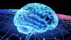 Zeka Nedir? Daha Zeki Olmak Elimizde!