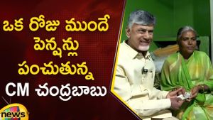 Chandrababu Naidu Champions Development Initiatives In Andhra Pradesh