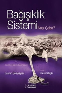 Bağışıklı Sistemi Nasıl Çalışır ?