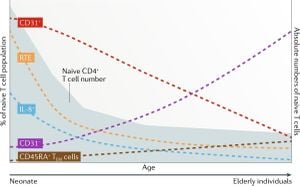 Newly Identified CD4 T Cell Subpopulation Boosts Anti-Tumor Immunity