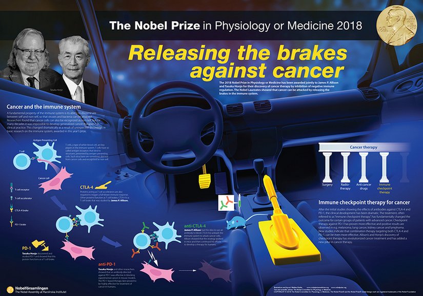 2018 Nobel Prize in Physiology or Medicine