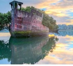 Avusturalya Sydney kentindeki yüzen orman oradaki gemi Ada olarak isimlendilebilir mi?