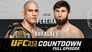 Alex Pereira Set To Break Record At UFC 313