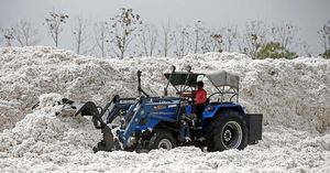 Indian Textile Stocks Surge As Cotton Duty Waived