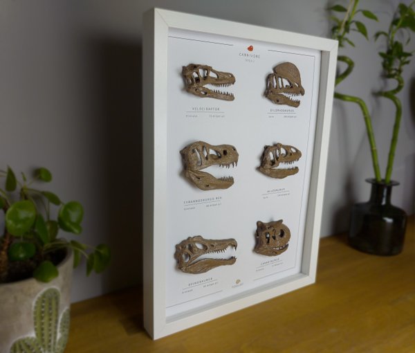 Etobur Dinozorlar 3 Boyutlu Çerçeve Tasarım