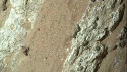 NASA’nın Perseverance Aracı Mars’ta Yaşam İzleri Buldu mu? Bilim İnsanları Yanıtı Dünya’da Aranacak.