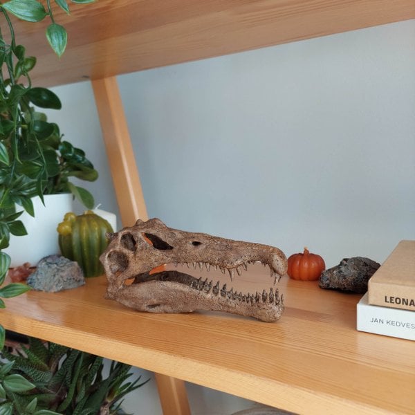 Spinosaurus Mini Seramik Heykel