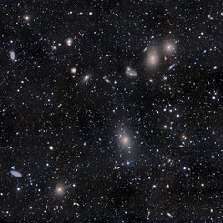 Virgo Cluster Galaxies