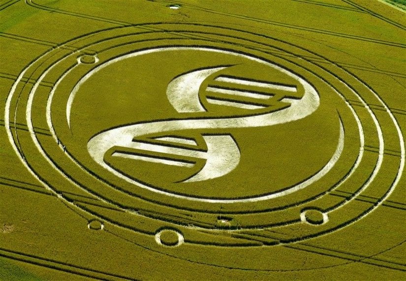 Koskoca uzaylıların bir bildiği vardır elbet! O kadar yoldan gelmişler, ekin tarlalarına Evrim Ağacı'nın logosunu çizmeyi ihmal etmemişler. Hani bize inanmıyorsanız, uzaylılara inanın! Bugünlerde Photoshop ile yapabilecekleriniz gerçekten çok hoş, değil mi?