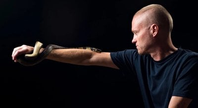 Her Zehri Çözen Bir Panzehir Mümkün mü? Böyle Bir Panzehri Üretmek İçin 202 Yılanla Baş Başa Kalan Friede ile Tanışın!