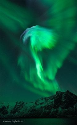 Norveç Üzerinde Kartal Aurorası