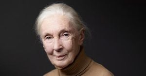 Jane Goodall Remembered Worldwide For Transforming Science