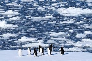 Antarctica’s Landscape Transforms As Tourists Witness Change