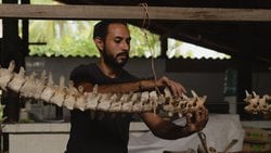 Paleontoloji Nedir? Fosilleri İnceleyen Bilim Dalı ve Paleontologların Çalışma Alanı