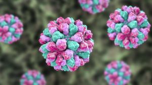 Norovirus GII.17 Variant Triggers Health Alarm Across UK