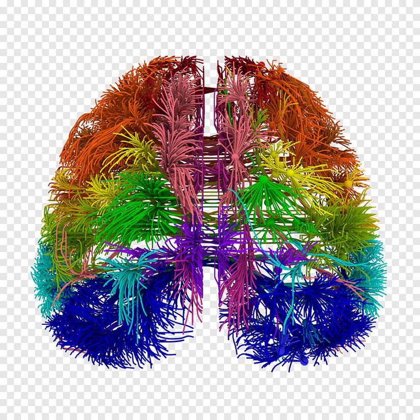 Blue Brain Projesinden Beyin Simulasyonu görüntüsü