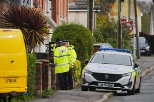 XL Bully Dog Attack In Wales Leaves Baby Dead