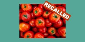 Tomato Recall Issued Over Salmonella Contamination Risk