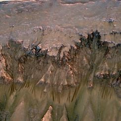 Seasonal Dark Streaks on Mars