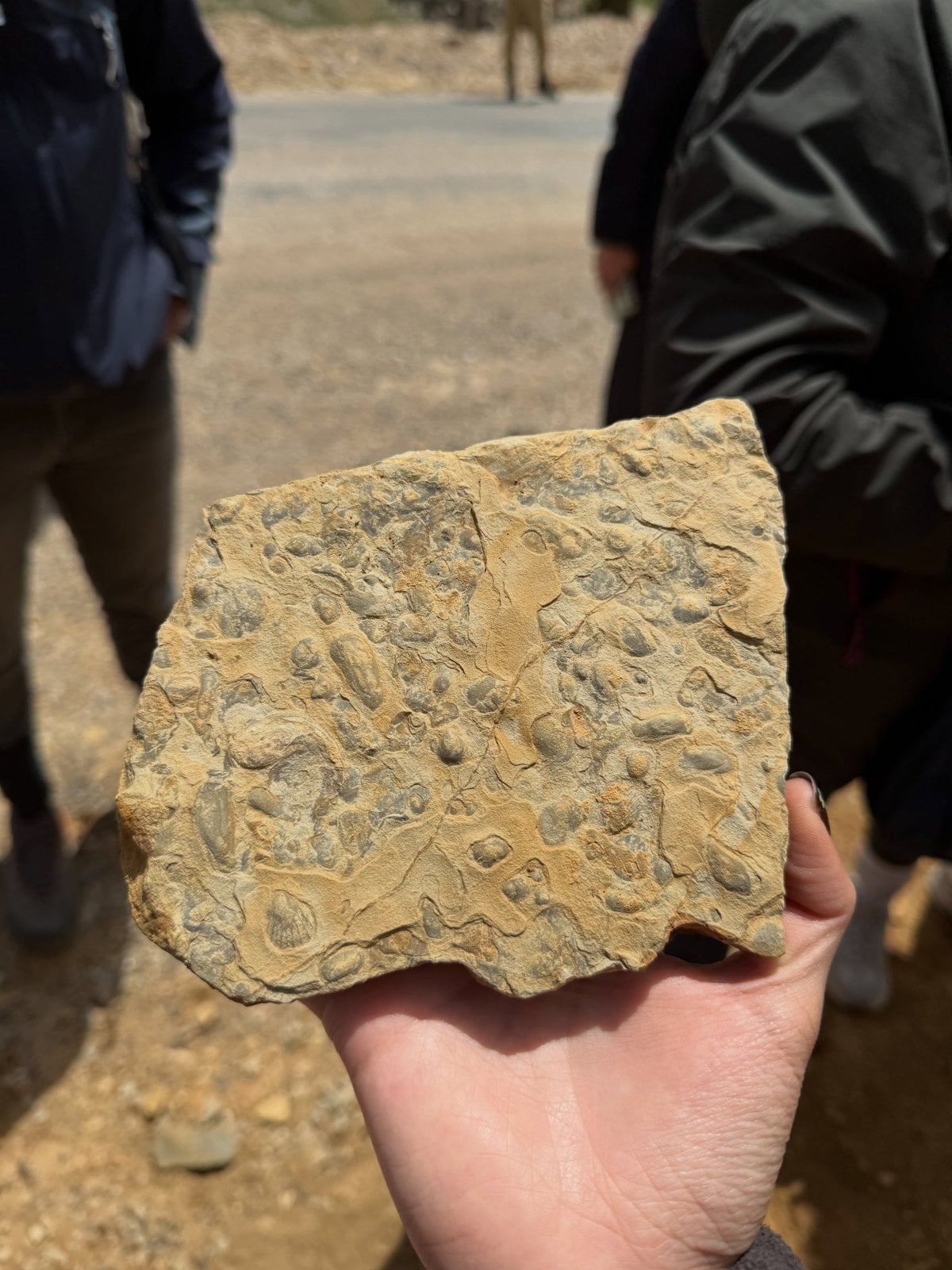 Çatalhöyük'ten Taşkent'e turundan kare 5