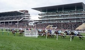 Cheltenham Festival Sparks Debate On Competition And Inclusivity